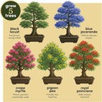Planter's Choice Bonsai Tree Starter Kit - Image 3