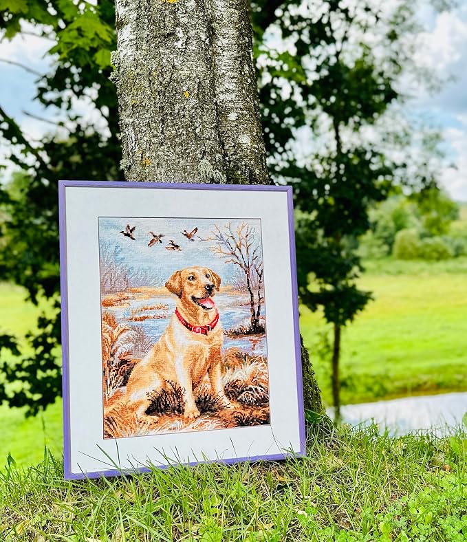 RIOLIS - Labrador 1399, Dogs Cross Stitch Kits 11, Counted Cross Stitch Kits - Image 2
