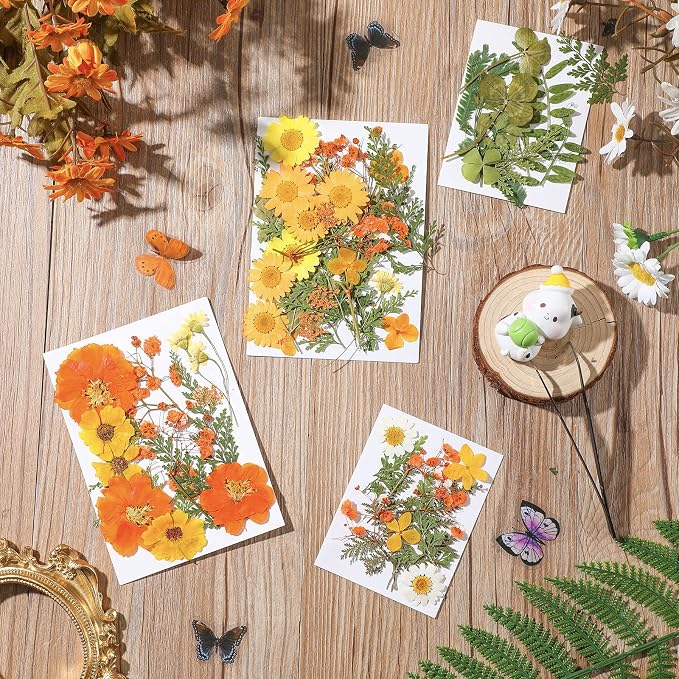 Nuanchu Dried Flower for Crafts Resin Pressed Flowers Bulk Real Dried - Image 4