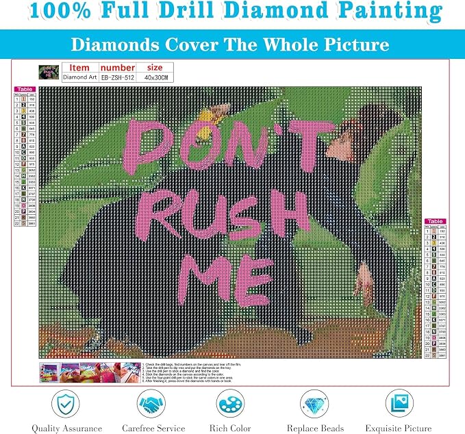 EIBEILI Diamond Art Kit for Adult-Don't Rush ME Diamond Painting Wall Decor | - Image 4