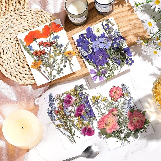 Nuanchu Dried Flower for Crafts Resin Pressed Flowers Bulk Dried Wildflowers - Image 2