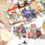 Nuanchu Dried Flower for Crafts Resin Pressed Flowers Bulk Dried Wildflowers - Image 2