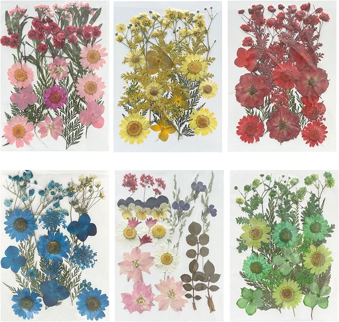 Woohome 126PCS Real Pressed Flowers, Dried Pressed Flowers Colorful Real by Woohome