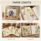 LUXEEASE 100P Vintage Warm Tone Dried Pressed Flowers | Cream caramel yellow - Image 3