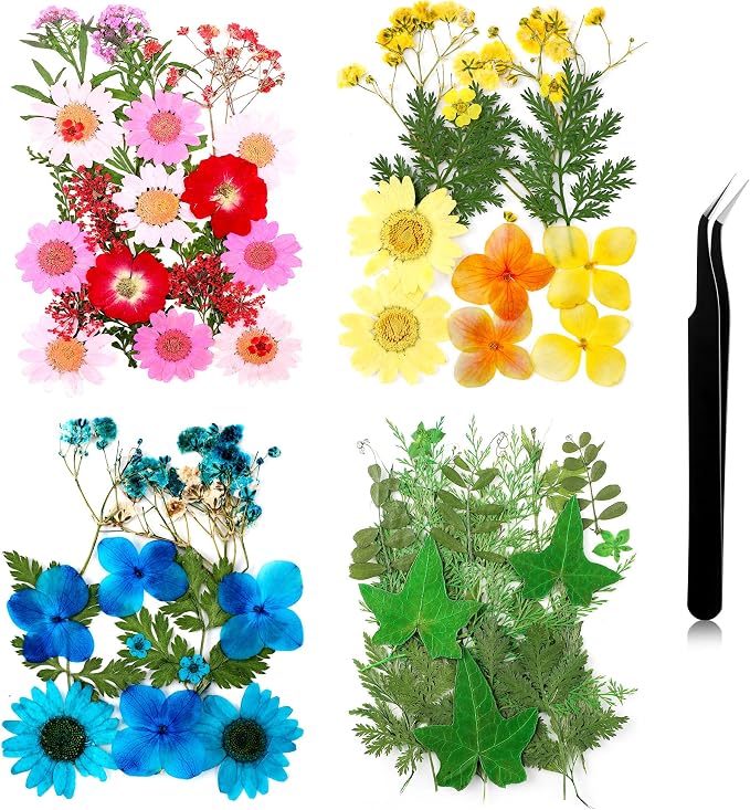 Nuanchu Dried Pressed Flowers for Crafts Resin Christmas Dried Flowers Bulk by Nuanchu