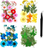 Nuanchu Dried Pressed Flowers for Crafts Resin Christmas Dried Flowers Bulk by Nuanchu