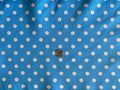 Valentina Textile inc Small Polka Dot Poly Cotton Multi-Colors 60" Wide by VALENTINATEXTILEINC