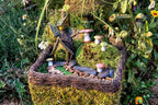 SuperMoss Fairy Garden Kit, Mixed Mosses, 4 oz. - Image 3