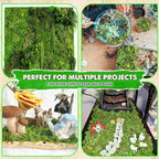 DUSPRO Green Forest Moss for Crafts, Real Dried Decorative Moss, 10 oz | Indoor - Image 4