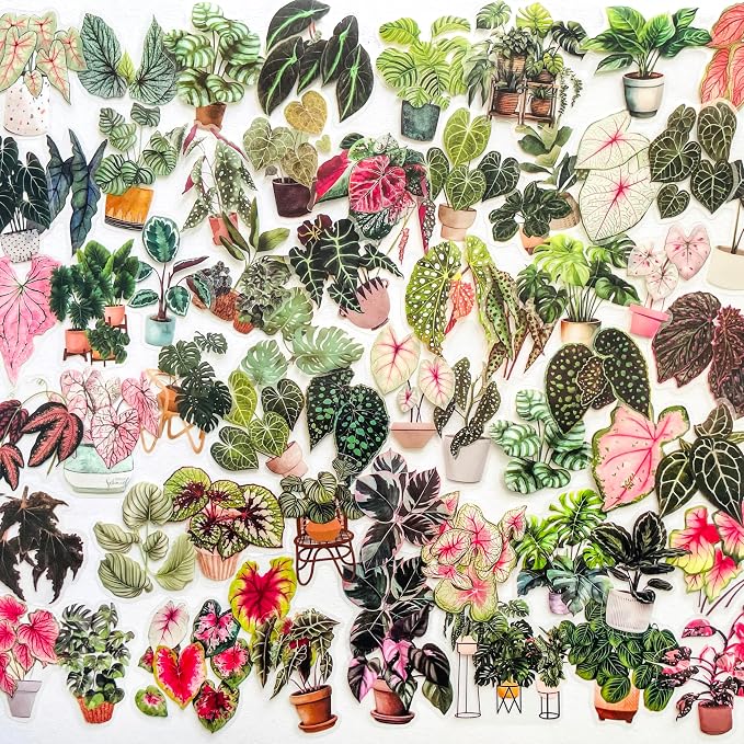 Yoksas Nature Alocasia Green Plants Stickers by YOKSAS