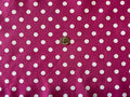Valentina Textile inc Small Polka Dot Poly Cotton Multi-Colors 60" Wide by VALENTINATEXTILEINC