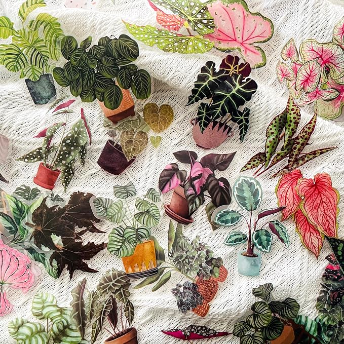 Yoksas Nature Alocasia Green Plants Stickers - Image 4