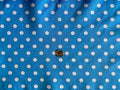 Valentina Textile inc Small Polka Dot Poly Cotton Multi-Colors 60" Wide by VALENTINATEXTILEINC