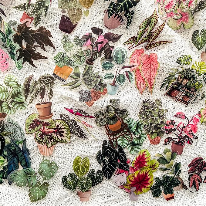 Yoksas Nature Alocasia Green Plants Stickers - Image 2