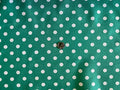 Valentina Textile inc Small Polka Dot Poly Cotton Multi-Colors 60" Wide by VALENTINATEXTILEINC