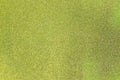Allgala X-Large Glitter EVA Foam Sheets 12 Pack 12x16 inch Paper Sheets-Lime by Allgala