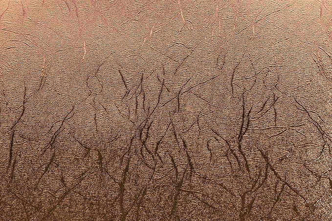 Cricut Permanent Vinyl - Image 2